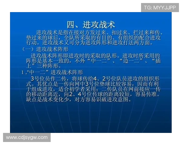 深入分析杭州排球队与武汉排球队的技术对抗与战术运用