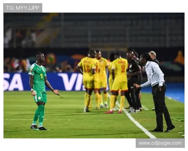 塞内加尔与尼日利亚激战在即谁将赢得非洲足球的荣耀之战